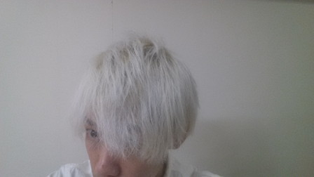 ホワイトブリーチした直後の髪の毛の写真