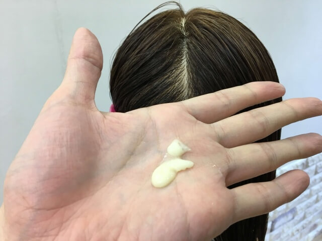 パンテーン流さないトリートメントを付けるところの写真