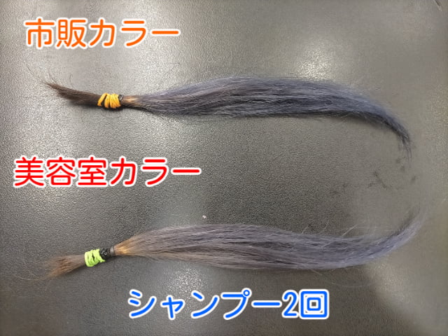 市販カラーと美容室カラーシャンプー2回