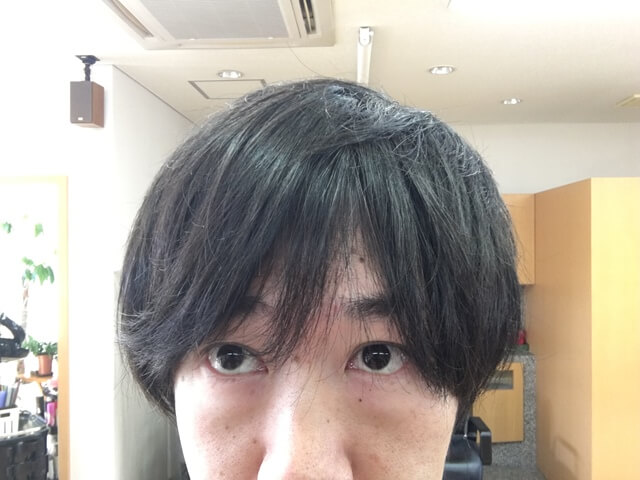 何もついていない髪の毛