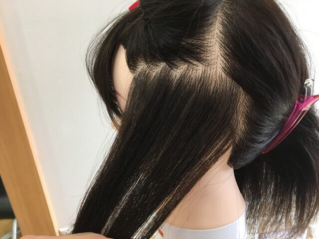 インナーカラーを分け取る範囲全体の写真