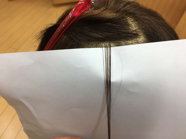 シールエクステを付ける毛束の写真