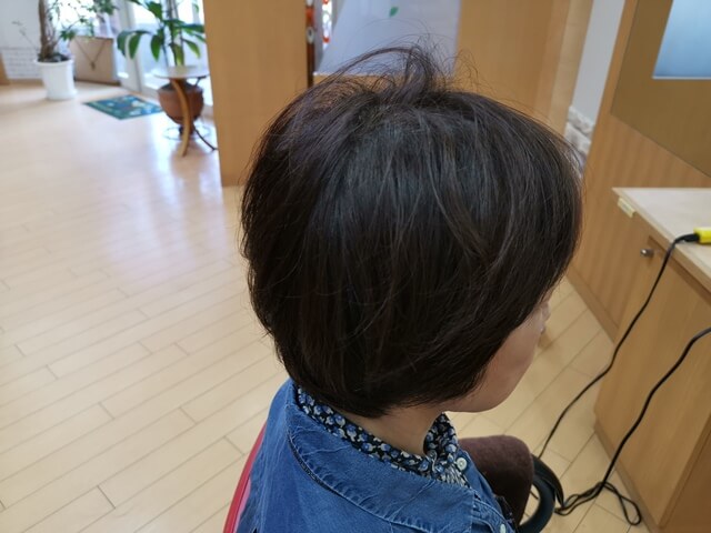 脱染前の髪の毛右