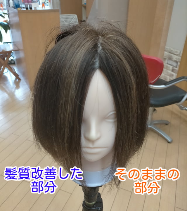 髪質改善した髪と何もしていない髪