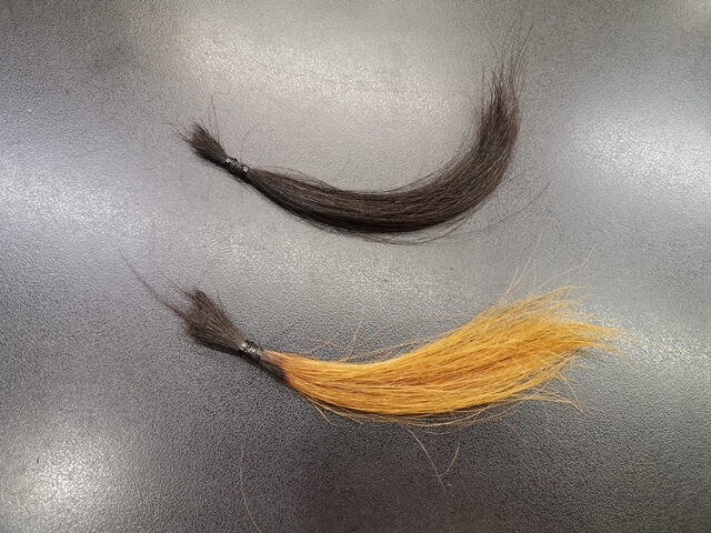 ヘアカラーで赤く染める前の髪