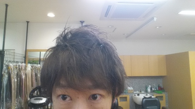 一週間黒染め後2週間目の写真