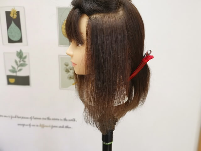 髪の毛のパネル