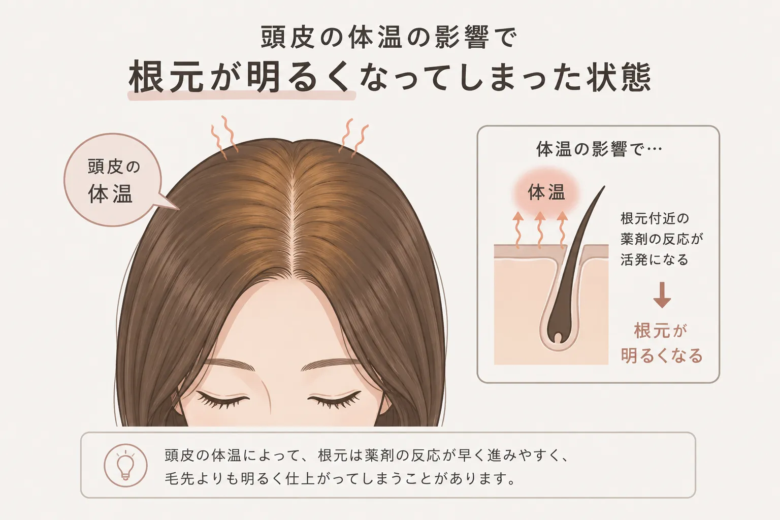 体温の影響で根元が明るくなる