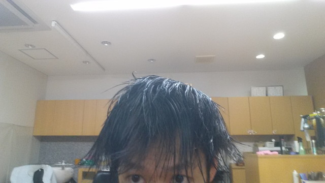 シャンプー直後の写真