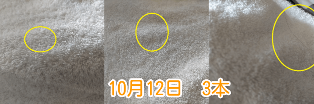 10月12日抜け毛本数