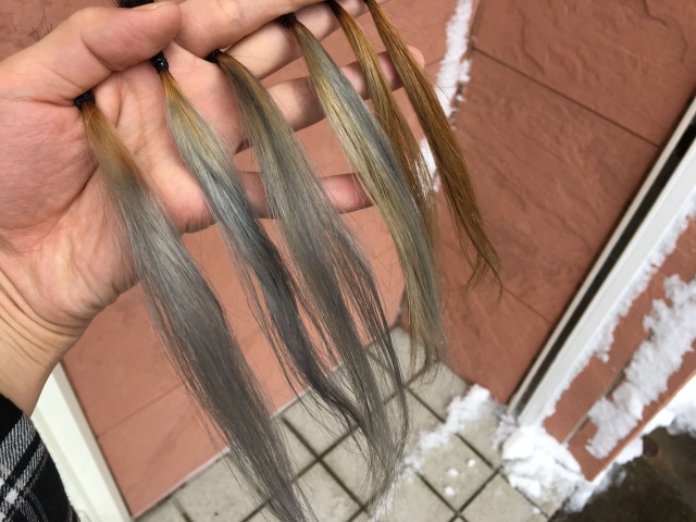 屋外で見たシルバーグレーカラーの毛束の写真
