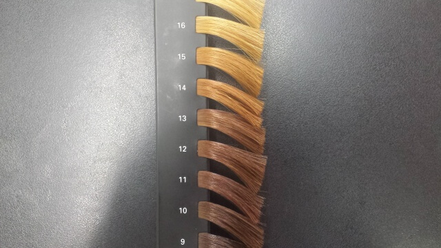 13レベルトーンの写真