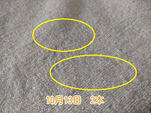 10月13日抜け毛本数