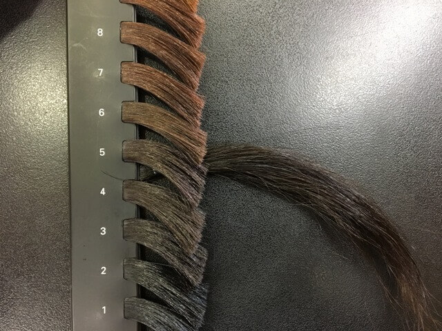 黒髪の明るさレベルの写真