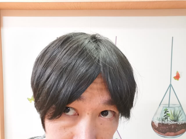 1日目水を使わないシャンプー使った後