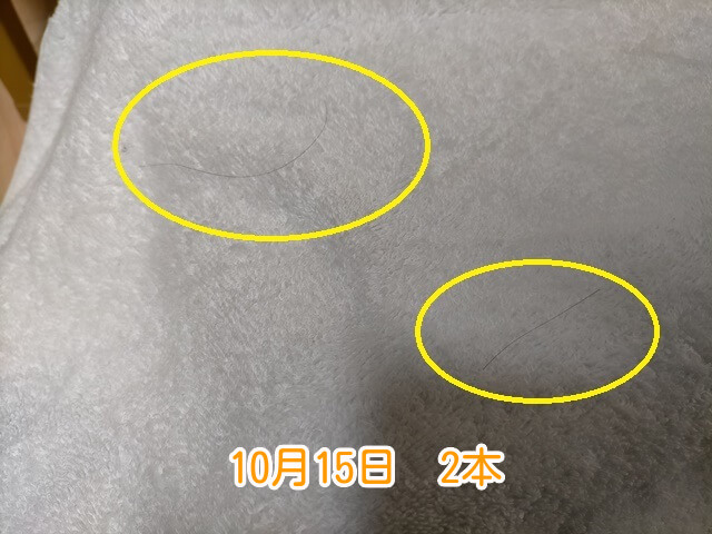 10月15日抜け毛本数