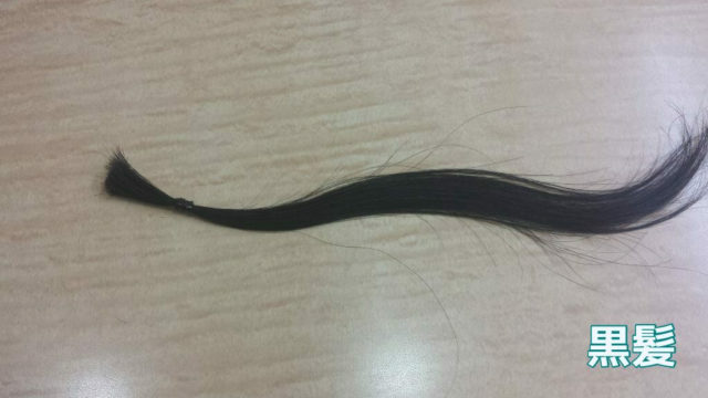 黒髪の毛