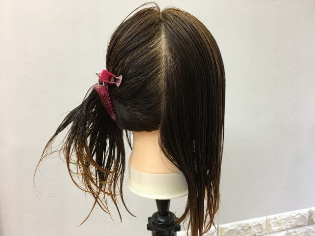 比較のために分け取った髪の毛の写真