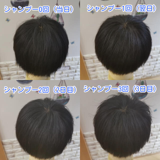 シャンプー0~3回の写真
