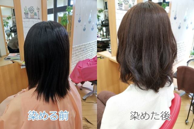 黒髪にアッシュグレーを染めた色