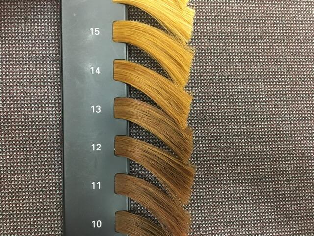 13レベル前後の髪の毛束の写真