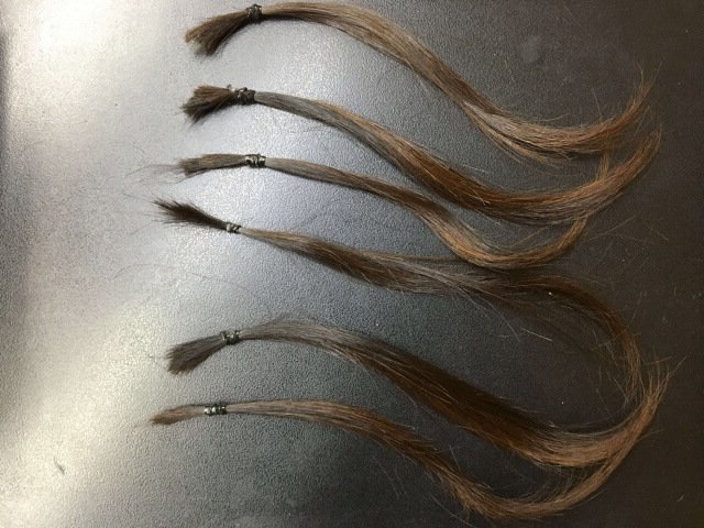 ブリーチ前の6本の毛束黒い背景の写真