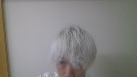 ホワイトブリーチした直後の髪の毛の写真　正面