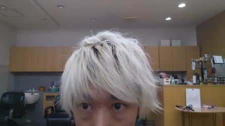 紫シャンプー紫トリートメントを使って6日目の写真　アップ