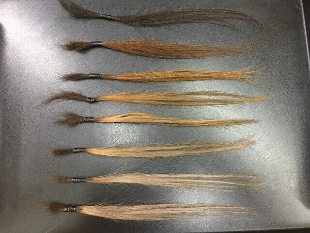 グレーアッシュシャンプー10回目の写真
