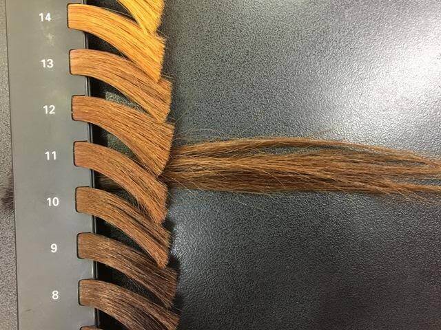 ライトナー2回の明るさレベルの写真