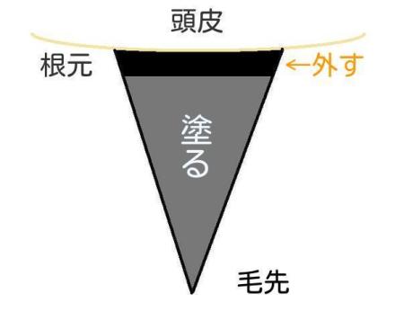 根元から離してカラーを塗るための説明イラスト