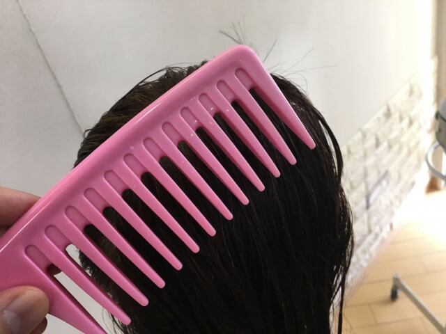 目の大きなクシで梳かす写真