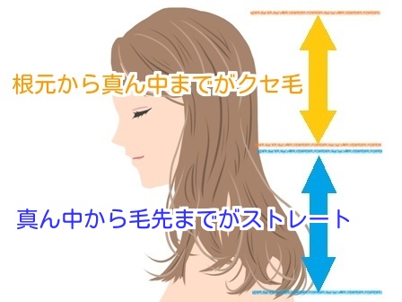 クセ毛の説明をしたイラスト画像
