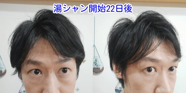 湯シャン開始22日後写真