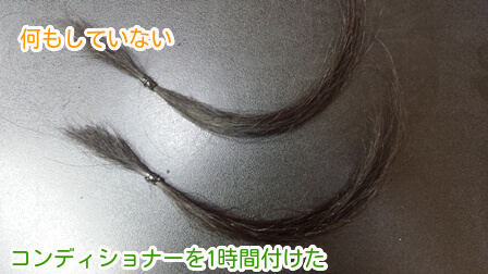 コンディショナーを1時間付けた髪と何もしていない髪ドライ後黒背景