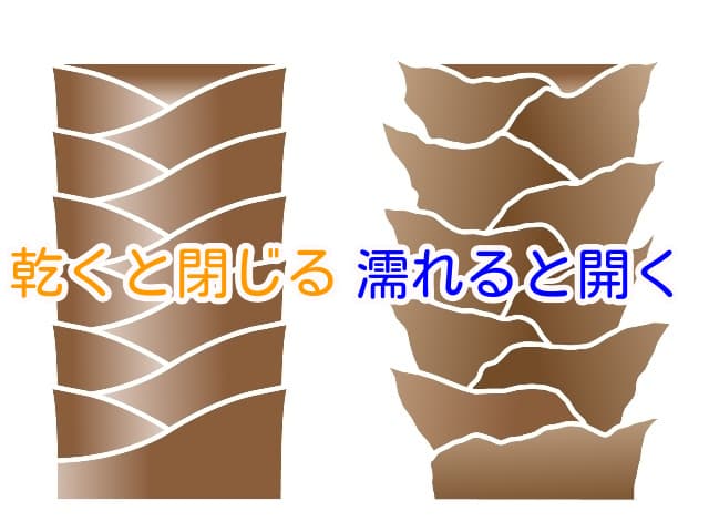 閉じたキューティクルと開いたキューティクル (1)