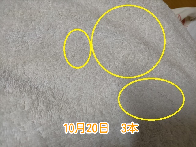 10月20日抜け毛本数