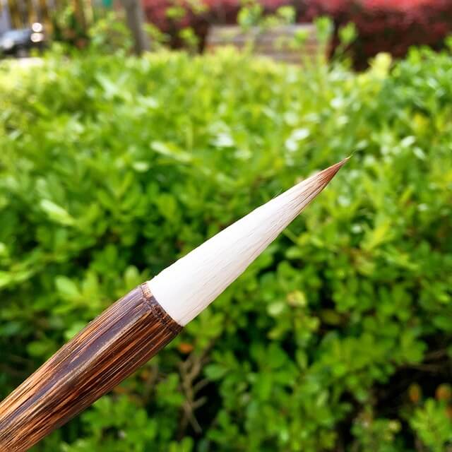 筆先の写真