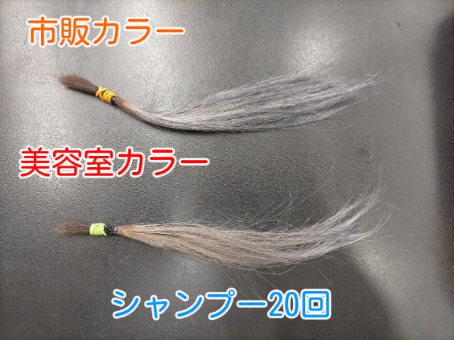 市販カラーと美容室カラーシャンプー20回