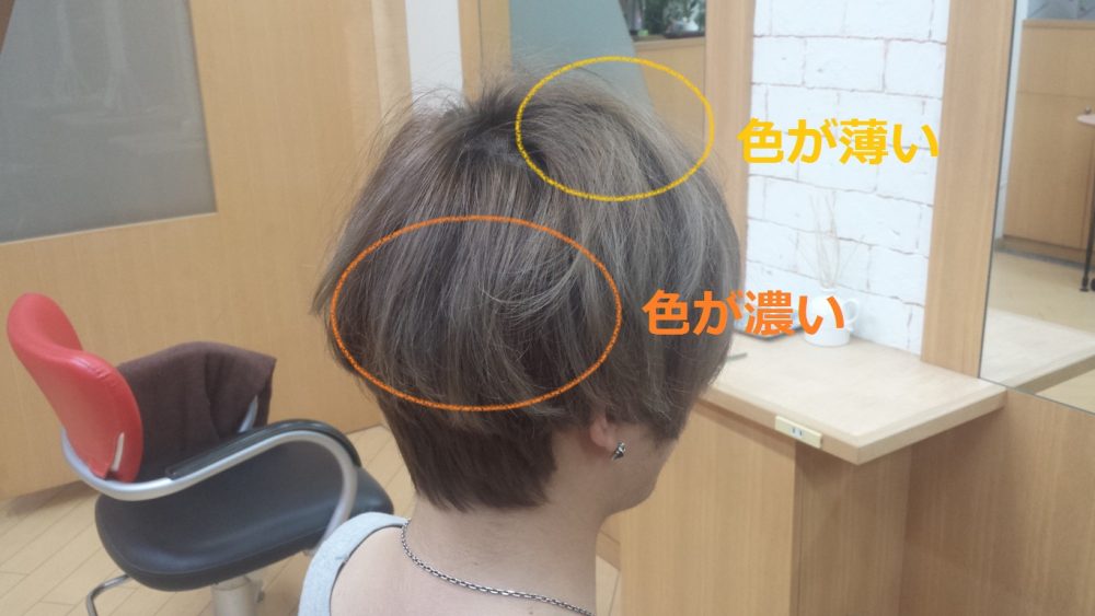 ヘアカラーが入りやすい場所入りにくい場所を説明した写真