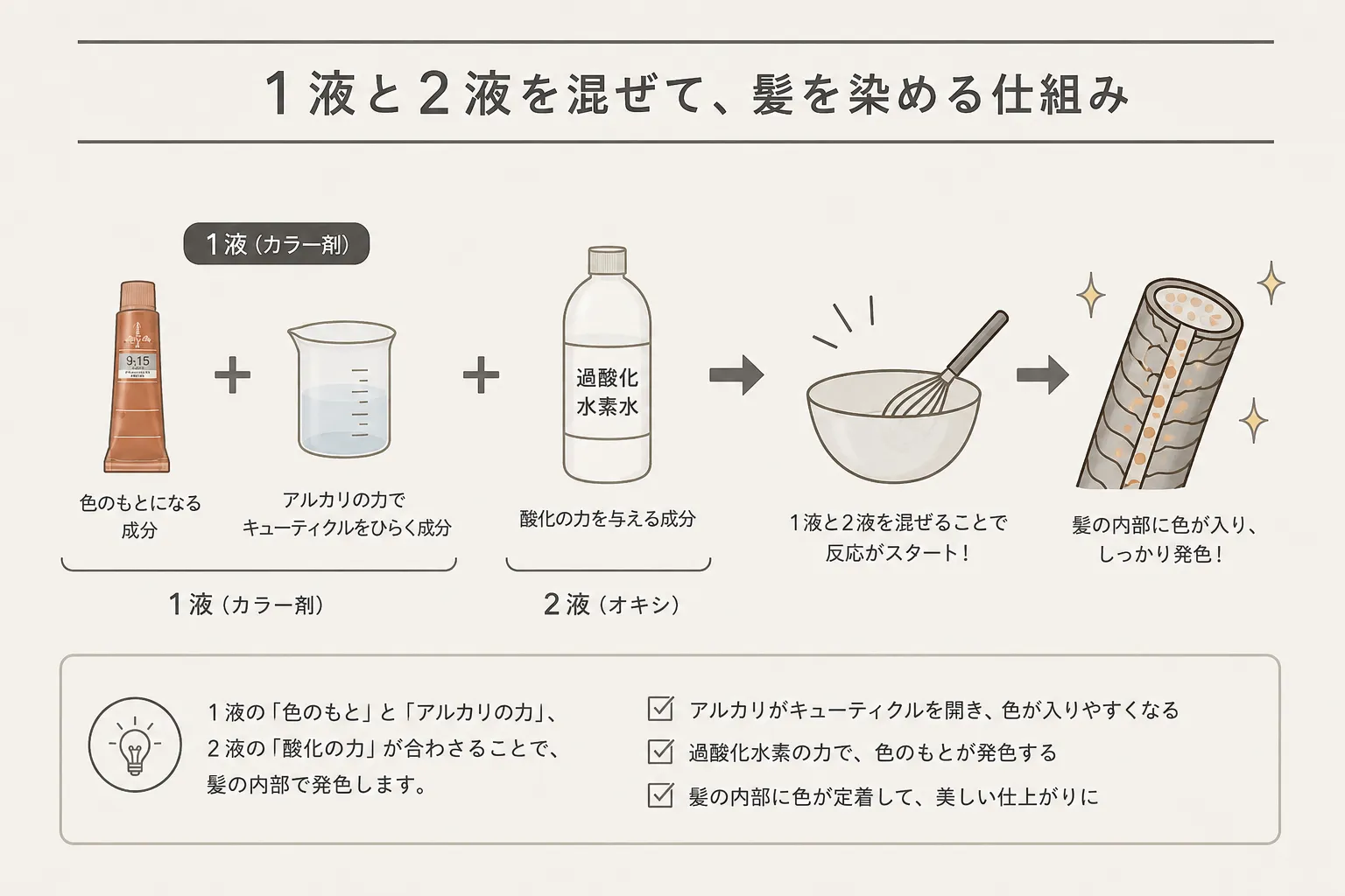髪の毛が発色する仕組み