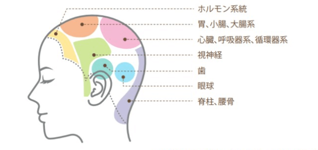 頭のツボ