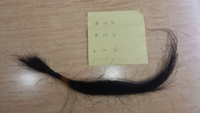 五日後　10分間リンゴ酢に浸けた髪の毛の結果の写真