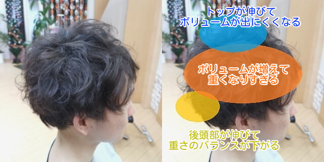 メンズカットと伸び具合の説明