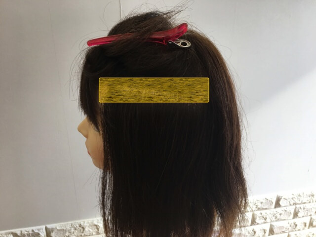 ヘアカラーを塗る場所の目安