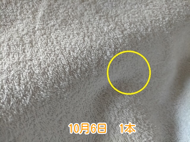 10月6日抜け毛本数