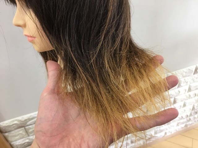 何も付けていない髪の毛の毛先の写真