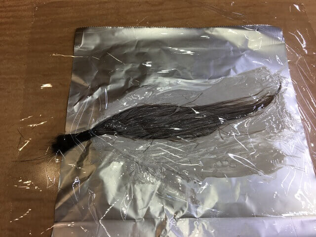 ライトナー2回目の写真
