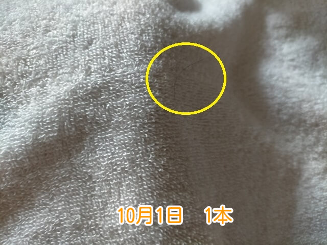 10月1日抜け毛本数