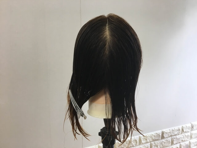 髪の毛半分を分け取った写真
